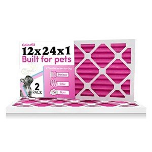 Colorfil 12x24 Air Filter for Pets - Pack of 2