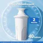 6-Pack Water Filter for Brita Pitchers and Dispensers