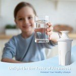 6-Pack Water Filter for Brita Pitchers and Dispensers