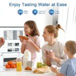 Water Filter Replacement for Brita Pitchers - 6 Pack