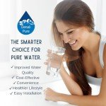 Denali Pure 3-Pack Bosch RWF1110 Water Filters