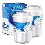 ICEPURE RWF0600A Water Filter 2-Pack for GE