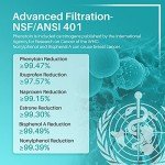 ICEPURE Pro Replacement Water Filter 4-Pack