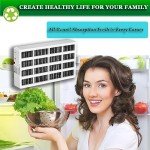 6-Pack Fresh Flow Refrigerator Air Filters