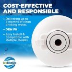 EcoBlueLife Refrigerator Water Filter – Compatible LT700P 46-9690