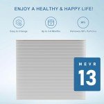 3-Pack MERV-13 Replacement Air Filters, 20x25x6