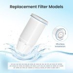 Water Filter Replacement for Fit for Zero Pitchers - 4 Pack