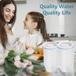 Water Filter Replacement for Fit for Zero Pitchers - 4 Pack
