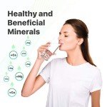 2-Pack Wildberries UKF8001 Refrigerator Water Filter