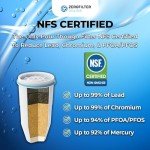 ZEROFILTER ZR-017 Replacement Water Filters for Pitchers