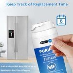 PURIFRIZ Water Filter for Bosch and Haier Refrigerators
