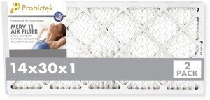 Proairtek 14x30x1 Air Filters - Pack of 2