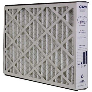 Trion Air Bear Cub Filter 16x25x3 MERV 11