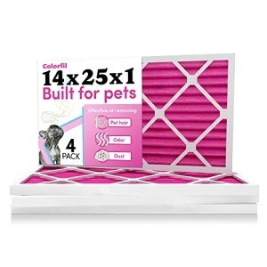 Colorfil 14x25 Air Filter for Pet Odor