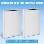 2-Pack PGAPXCAR1625 MERV 13 Air Filters