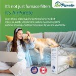 AirPurete AP-LX16255 Replacement Filter MERV 11