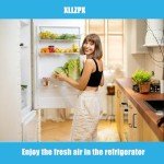 Miele Compatible Activated Carbon Odour Filters 2-Pack