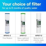 Aqua-Pure Whole House Replacement Filter AP817-2