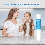 AQUA CREST Inline Carbon Water Filter - 2-Pack