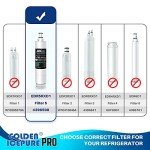IcePure 4396508 Water Filter for EveryDrop 5