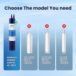 IcePure RFC6600A Refrigerator Water Filter 2 Pack