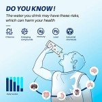 IcePure 4396508 Water Filter for EveryDrop 5