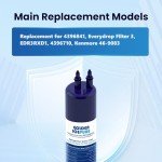 IcePure RFC6600A Refrigerator Water Filter 2 Pack