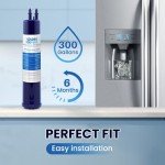 IcePure RFC6600A Refrigerator Water Filter 2 Pack