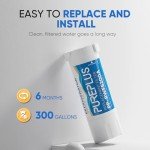 PUREPLUS XWF Water Filter for GE Refrigerators, 2-Pack