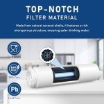 Viking Built-In Filter Replacement (2 Pack)