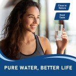 Viking Built-In RWFDISP Filter Replacement (1 Pack)