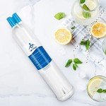 Kenmore 9030, 9083 Replacement Filters (3 Pack)