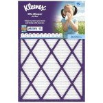Kleenex Elite 20x30x1 Allergen Air Filters (2-Pack)