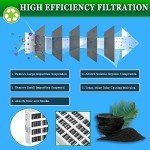 Fresh Flow Refrigerator Air Filter Replacement (3-Pack)