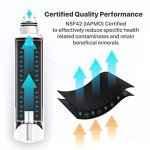 Samsung Water Filter Replacement Pack of 2