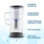 Sleek Glass Pitcher with pH Balancing Filter