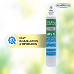Aqua Fresh WF277 Water Filter for GE RPWF