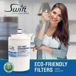 Swift Green Refrigerator Water Filter (2 Pack)