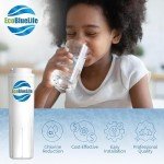 EcoBlueLife Refrigerator Water Filter - Chlorine and Lead-Free
