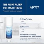 PERCOLA AP717 In-Line Water Filter (2 Pack)