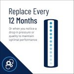 Pentair CBC-20 Whole House Carbon Filter Cartridge