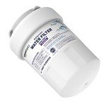 GE MWF Refrigerator Water Filter Cartridge - 2 Pack