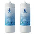 EDRARXD1 Water Filter Replacement - 2 Pack