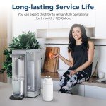 2-Pack Replacement Filters for Brita Hub Device