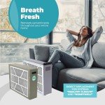 Lennox X7935 Merv 16 Carbon Clean Filter