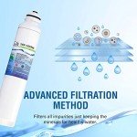 Swift Green LG Replacement Water Filter (3 Pack)