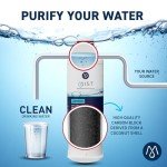 Samsung Water Filter Replacement DA97-17376B (1 Pack)