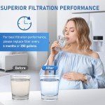 TEEHAY Water Filter Replacement 2-Pack Compatible