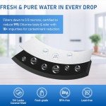 TEEHAY Water Filter Replacement 2-Pack Compatible