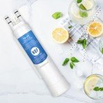 TEEHAY Water Filter Replacement 2-Pack Compatible